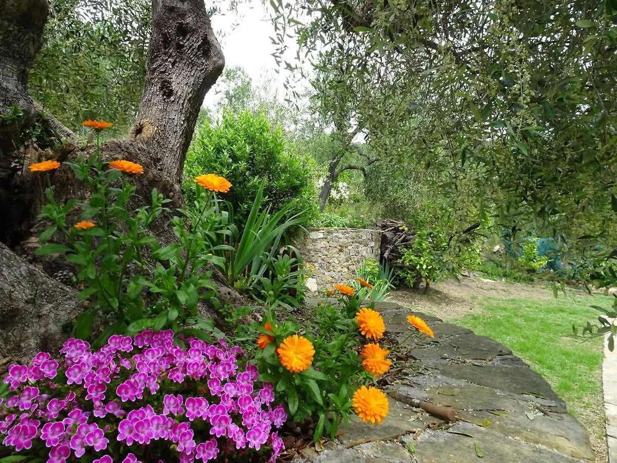 Ferienwohnung Le Casasse Imperia Italien